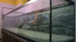 WP_20150130_008.jpg