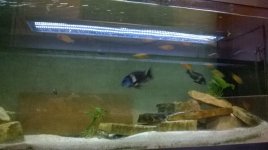 WP_20150212_005.jpg