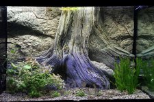 acquario2.jpg acquario2.jpg