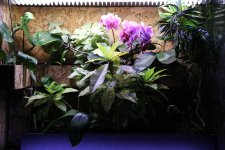 acquario3.jpg acquario3.jpg