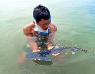 090309-smallest-whale-shark-baby_big.jpg 090309-smallest-whale-shark-baby_big.jpg