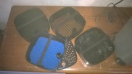 WP_20150910_003.jpg