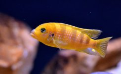 DSC_0364.JPG