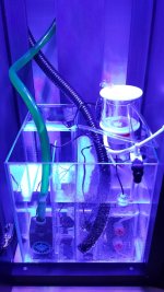 20151224_171135.jpg