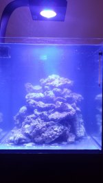 20151227_191013.jpg