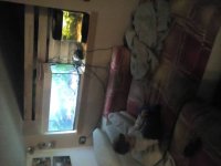 IMG-20160226-WA0004.jpg IMG-20160226-WA0004.jpg