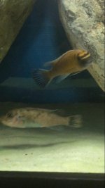 IMG-20160917-WA0010.jpg