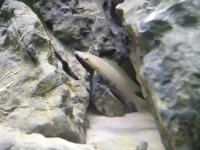 IMG_20161106_094113.jpg