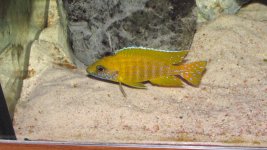 IMG_1521.jpg