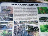 Vasca Ornamentale.jpg