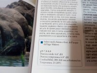 I ciclidi del lago Malawi 1.jpg