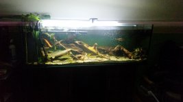 20170916_043336.jpg