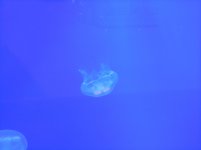 marzo2012 020.jpg