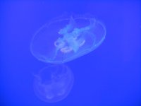 marzo2012 024.jpg