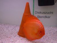 marzo2012 068.jpg
