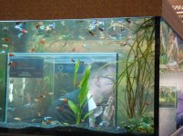 marzo2012 055.jpg