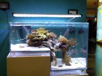 marzo2012 032.jpg