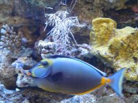 marzo2012 060.jpg