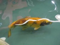 marzo2012 095.jpg