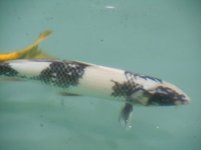 marzo2012 098.jpg