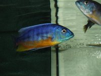 marzo2012 127.jpg