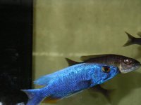 marzo2012 128.jpg