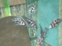 marzo2012 148.jpg
