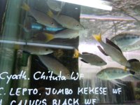 marzo2012 150.jpg