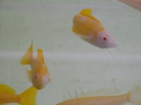 marzo2012 157.jpg