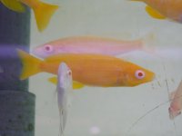 marzo2012 158.jpg