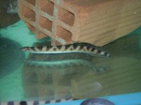 marzo2012 034.jpg