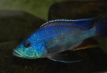 DSC_0327.jpg