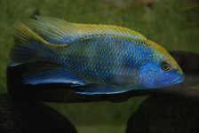 DSC_0332.jpg
