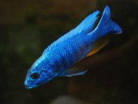 DSC_0346.jpg