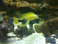 IMG_0521.jpg