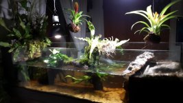 2017-11-04 17.12.59.jpg