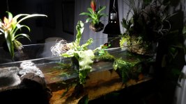 2017-11-04 17.13.17.jpg