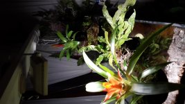 2017-11-04 17.14.46.jpg