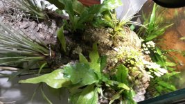 2017-11-04 17.15.56.jpg