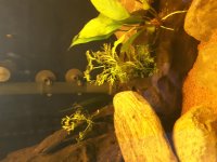 20180411_122926.jpg