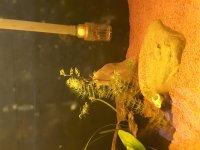 20180411_122919.jpg