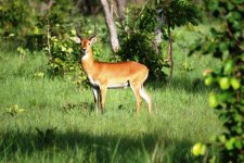 DSC_1976.JPG