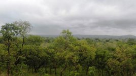 Nzi River Lodge - dalla terrazza_1.jpg