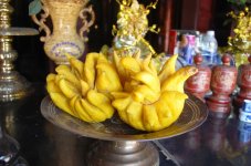 DSC_0024_Tempio di Tien Hoang frutto noto come 'La Mano del Buddha'.JPG
