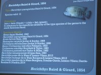 IMG_5967.jpg