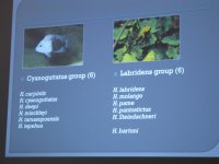 IMG_5968.jpg