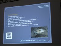 IMG_5982.jpg