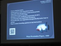IMG_5991.jpg