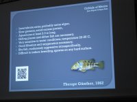 IMG_6003.jpg