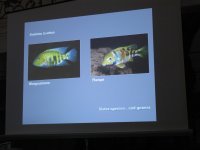 IMG_6005.jpg